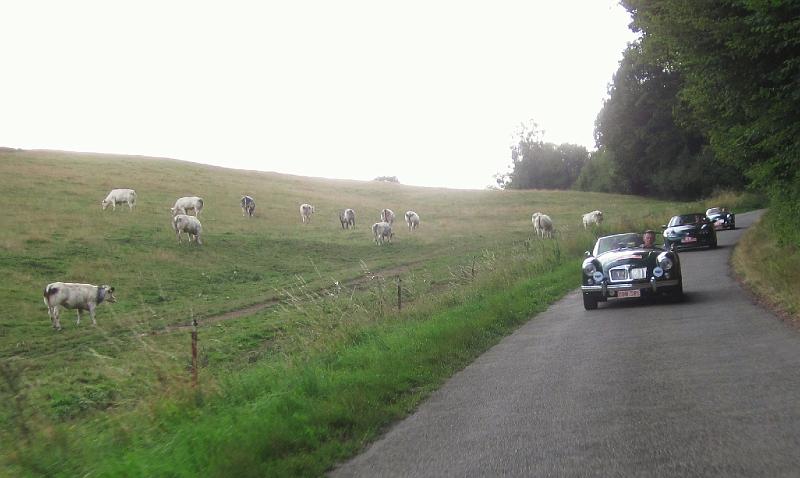 dag 2, La Roche en Ardenne - Dinant (120).jpg